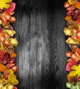 Autumn Leaves over a Natural Dark Wooden background.