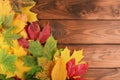 Autumn leaves over wooden background with copy space