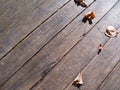 Autumn leaves over wooden boards floor Royalty Free Stock Photo