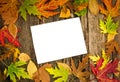 Autumn leaves with paper Royalty Free Stock Photo
