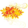 Autumn leaves pattern Royalty Free Stock Photo