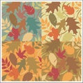 Autumn Leaves Pattern Royalty Free Stock Photo