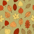 Autumn leaves pattern, colorful fallen leaves, handrawn illustration