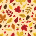 Autumn leaves pattern. Falling leaf seamless background with Oak, maple, chestnut, linden, aspen, walnut and rowan Royalty Free Stock Photo