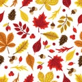 Autumn leaves pattern. Falling leaf seamless background with Oak, maple, chestnut, linden, aspen, walnut and rowan Royalty Free Stock Photo