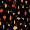 Seamless pattern falling autumn leaves on a black background. Vector illustration Royalty Free Stock Photo