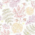 Autumn leaves pattern new. Seamless pattern. Colored skeleton decorative leaves