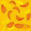 Autumn leaves pattern