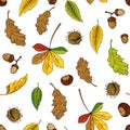 Autumn leaves pattern. Seamless texture with yellow oak and maple foliage. Red and orange chestnut twigs. Forest acorns