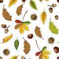 Autumn leaves pattern. Seamless texture with yellow oak and maple foliage. Red and orange chestnut twigs. Forest acorns. Royalty Free Stock Photo