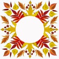 Autumn leaves patterns. Mandala from photos of yellow leaves. On white background. Royalty Free Stock Photo