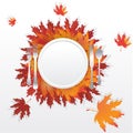 Autumn leaves round and served table