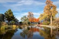 Autumn leaves by a pond in a Japanese Garden Royalty Free Stock Photo