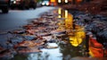 Autumn leaves in a puddle in the city at evening Royalty Free Stock Photo