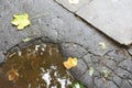 Autumn leaves in the puddle on ythe ground