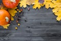 Autumn leaves and pumpkin over old dark wooden background with copy space Royalty Free Stock Photo