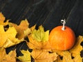 Autumn leaves and pumpkin over old wooden background Royalty Free Stock Photo