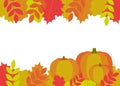 Autumn leaves and pumpkins border frame. Frame fallen leaves of maple, oak, rowan. Space for text. Vector