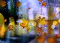 Autumn leaves  and rain drops  on window glass  cold rainy season   on street  bokeh blurred city evening light reflection urban s Royalty Free Stock Photo