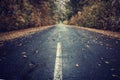 Autumn leaves on rainy road