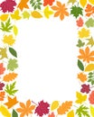 Autumn leaves rectangular frame simple vector minimalist concept flat style illustration Royalty Free Stock Photo