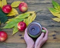 Autumn leaves and red apples and hands holding a Cup of coffee