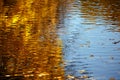 Autumn leaves reflecting in the water