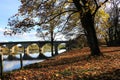 Autumn leaves on the river bank.