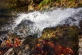 Autumn Leaves on Rocks at Sunlit Waterfall