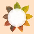 Autumn leaves in a round banner brown background