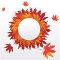 Autumn leaves round frame with falling leafs