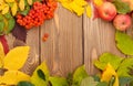 Autumn leaves, rowan berries and apples over wood background Royalty Free Stock Photo