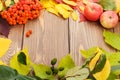 Autumn leaves, rowan berries and apples over wood background Royalty Free Stock Photo