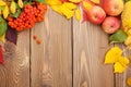 Autumn leaves, rowan berries and apples over wood background Royalty Free Stock Photo