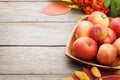 Autumn leaves, rowan berries and apples over wood background Royalty Free Stock Photo