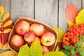 Autumn leaves, rowan berries and apples over wood background Royalty Free Stock Photo