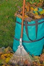 Autumn leaves in the rubbish bag with a leaf rake Royalty Free Stock Photo