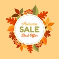 Autumn sale background layout decorate with leaves for shopping sale. Frame leaflet or web banner.