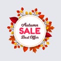 Autumn sale background layout decorate with leaves for shopping sale. Frame leaflet or web banner.