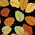 Autumn leaves seamless in beautiful style. Seamless leaf pattern. Royalty Free Stock Photo