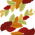 Autumn leaves seamless in beautiful style. Seamless leaf pattern. Royalty Free Stock Photo