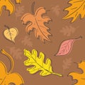 Autumn leaves seamless pattern Royalty Free Stock Photo