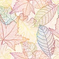 Autumn leaves seamless pattern background.
