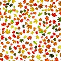 Autumn leaves seamless pattern. Colorful maple foliage. Season leaves fall background. Autumn yellow red, orange leaf isolated on Royalty Free Stock Photo