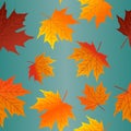 Autumn Leaves Seamless Pattern Fall Colorful Maple Leaves Repeat Pattern for Textile Design, Fabric Printing, Stationary, Packagin