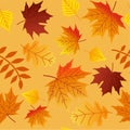 Autumn Leaves Seamless Pattern Fall Colorful Maple Leaves Repeat Pattern for Textile Design, Fabric Printing, Stationary, Packagin