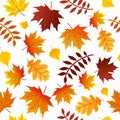 Autumn Leaves Seamless Pattern Fall Colorful Maple Leaves Repeat Pattern for Textile Design, Fabric Printing, Stationary, Packagin