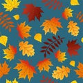 Autumn Leaves Seamless Pattern Fall Colorful Maple Leaves Repeat Pattern for Textile Design, Fabric Printing, Stationary, Packagin