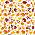 Autumn Leaves Seamless Pattern Fall Colorful Maple Leaves Repeat Pattern for Textile Design, Fabric Printing, Stationary, Packagin Royalty Free Stock Photo