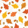 Autumn leaves seamless pattern. Fall leaf and berries. Floral nature icons. Autumnal background Royalty Free Stock Photo